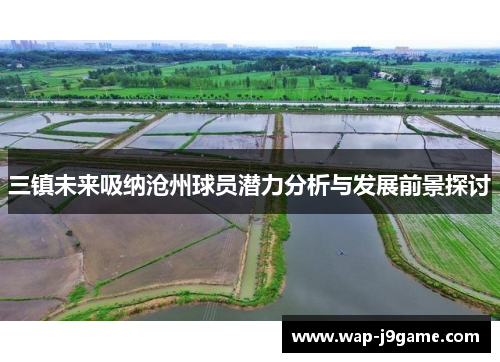 三镇未来吸纳沧州球员潜力分析与发展前景探讨